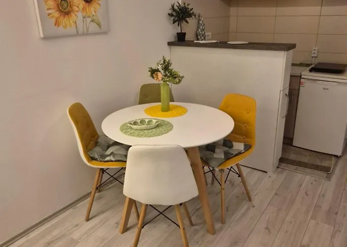 Aura Marine Ns Novi Sad